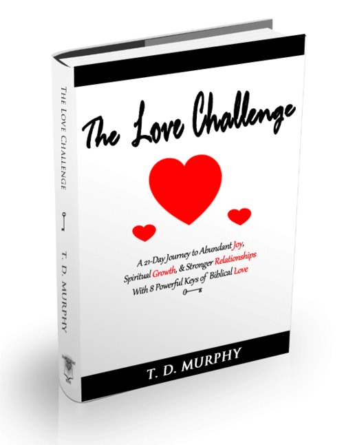 Product picture The Love Challenge A 21-Day Journey to Love